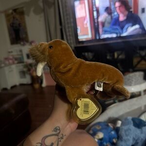 Ty Classic Plush Walrus Stuffed Animal - Brown Paul